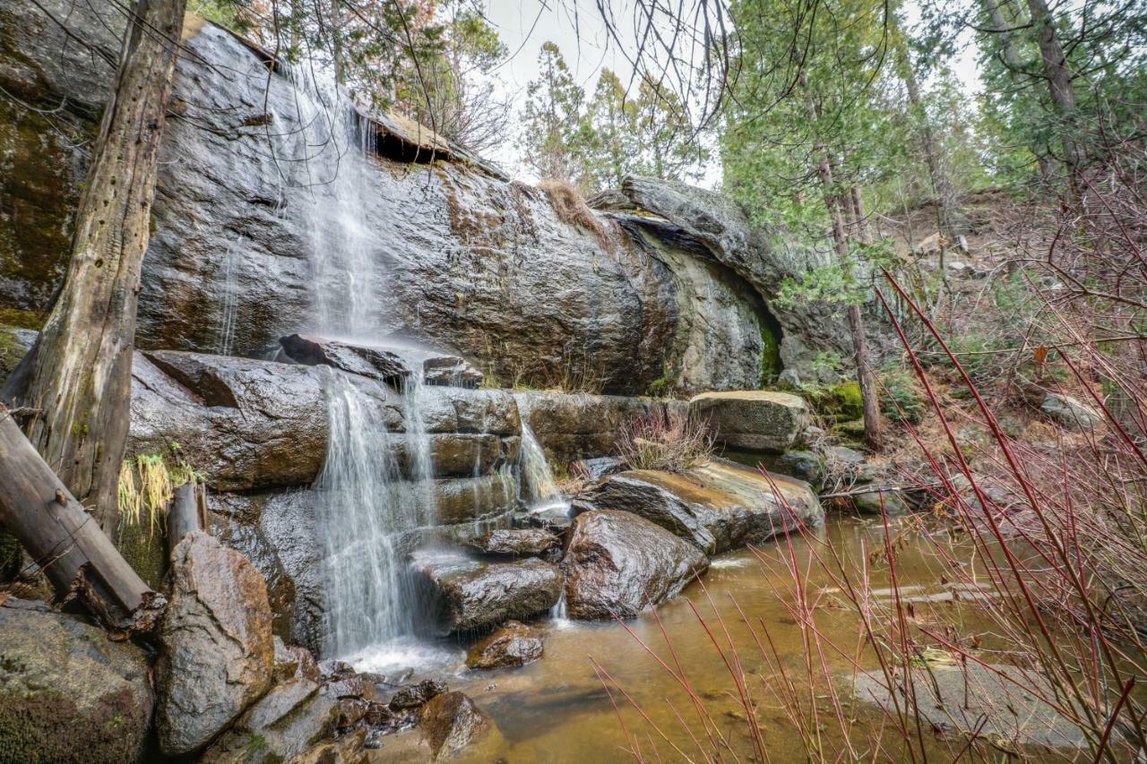 Forest Falls Shaver Lake Exterior foto